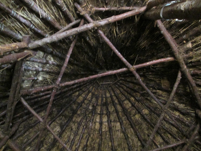 Looking up inside the crannog