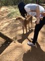 ?  With Robert the 'Rescued' Cheetah @Nairobi Animal orphanage 
