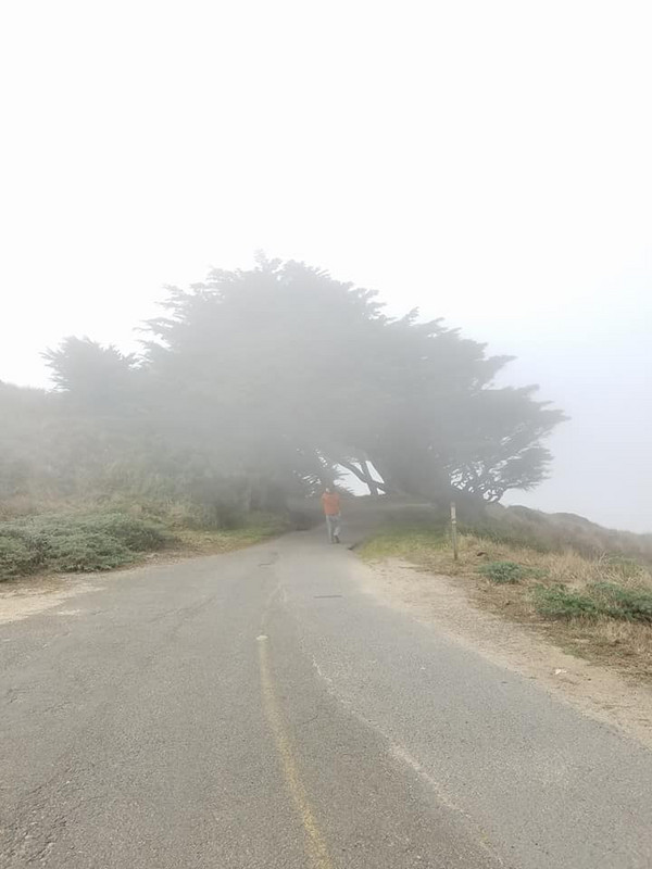 Disappearing into the Fog