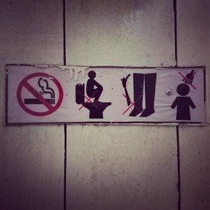 Toilet Instructions