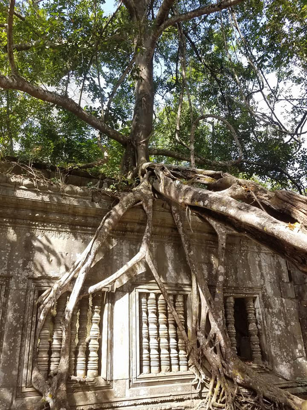Beng Mealea Jungle Temple