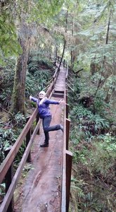 Rainforest Trail Loop B