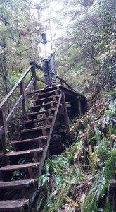 Rainforest Trail, Loop B