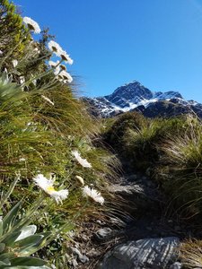 Alpine Trail