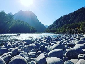 The River Behind Milford Sound Lodge