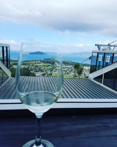 Wine With a View