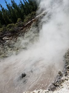 Hell's Gate- Geothermal Walk