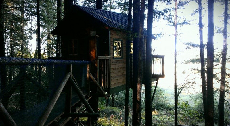Our Treehouse