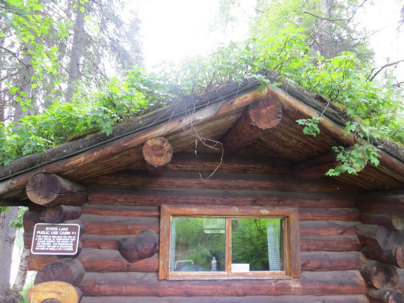 Sod roof cabin
