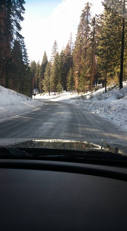 Very Icy Road