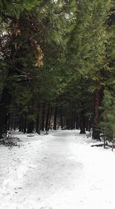 Starting our Second Walk (Lower Yosemite Falls)