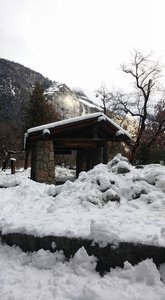 Bus Stop (Lower Yosemite Falls)