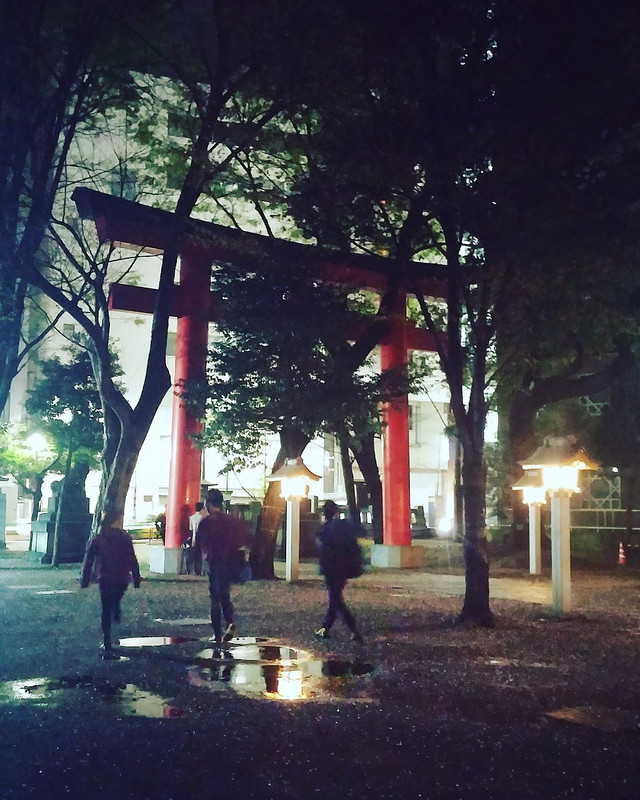 Torii Gate at Midnight