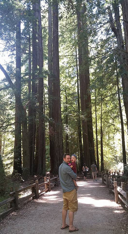 Starting the Redwood Trail
