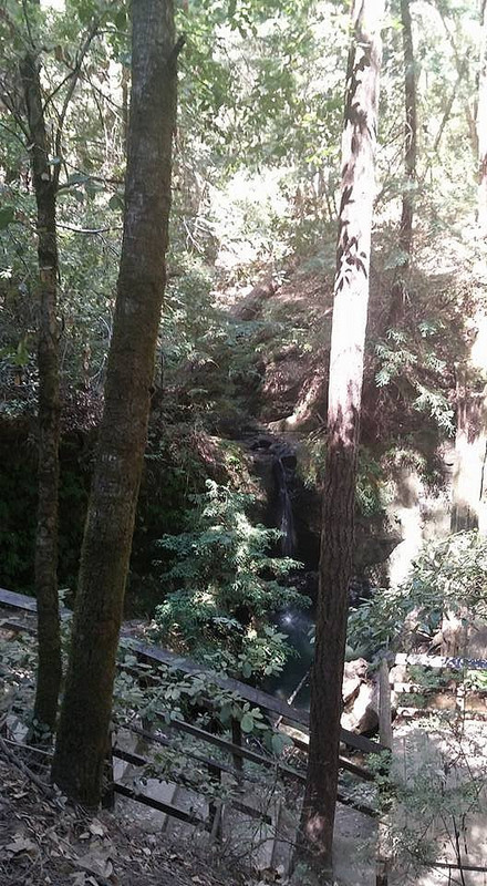 Peering Down at Sempervirens Falls