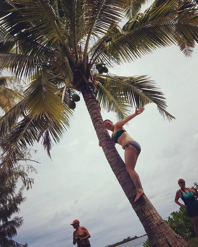 I Climbed a Coconut Tree!