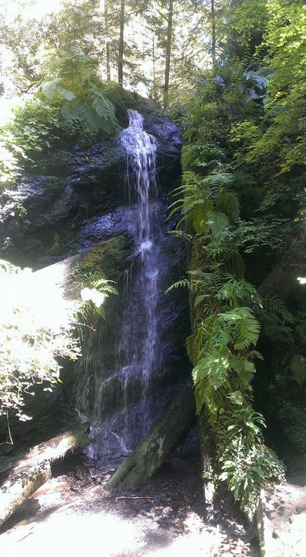 Fern Canyon Falls
