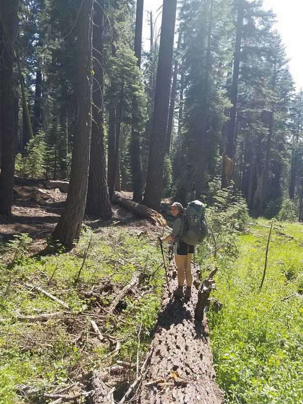 Crossing a Log