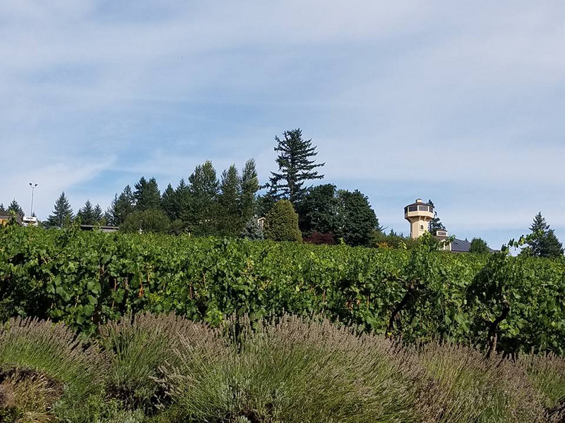 Willamette Valley Vineyards