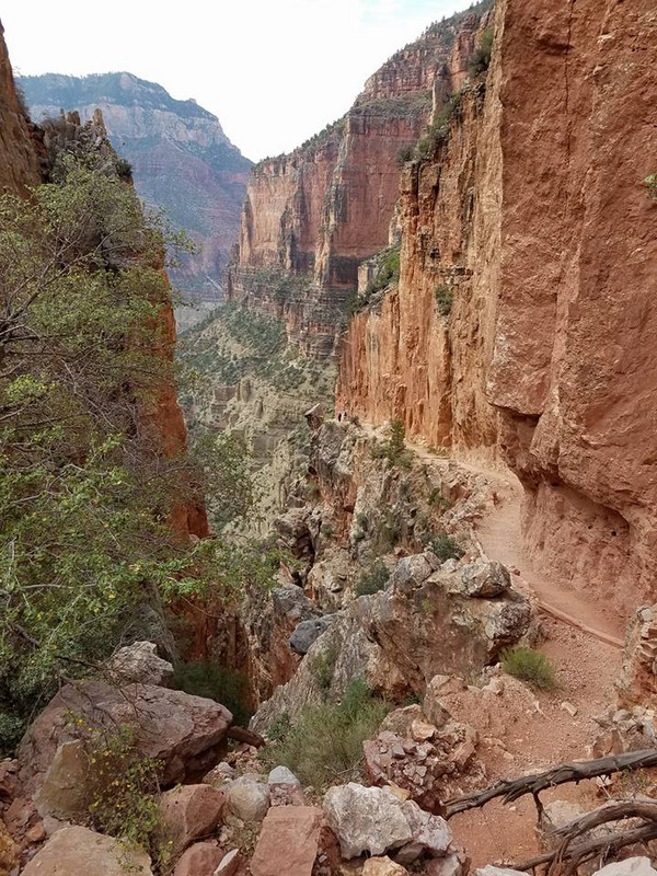 Descending the North Kaibab