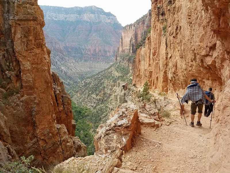 Descending the North Kaibab