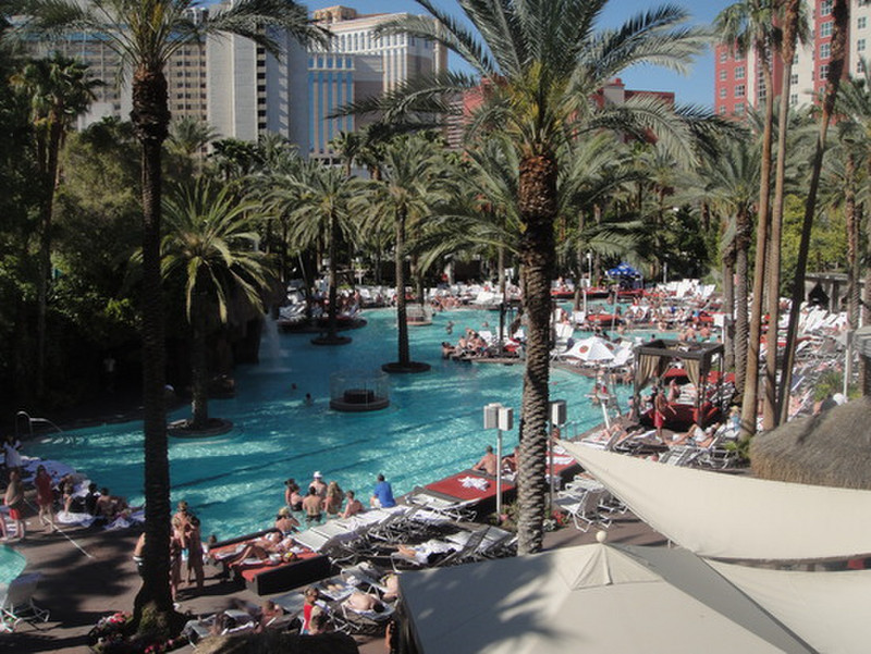 The pool at the Flamingo