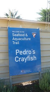 Pedros Crayfish in Elleston (Closed!!!)