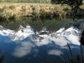 Mirror Lakes - Milford Sound