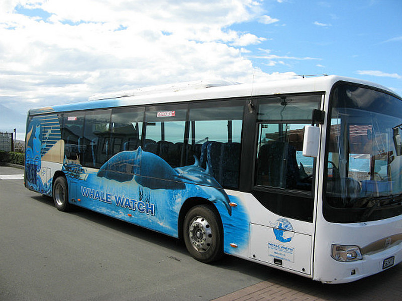 Whale Tour bus - Kaikoura