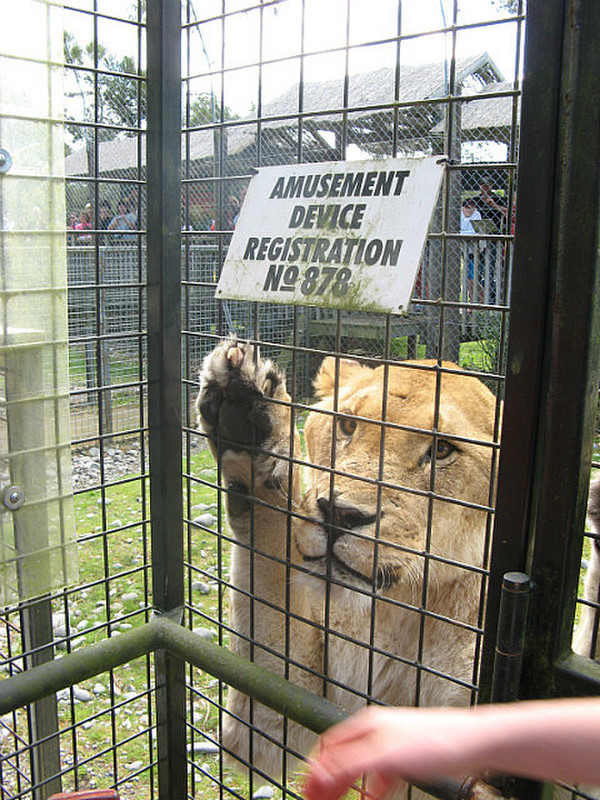 Orana Wildlife Centre - Christchurch