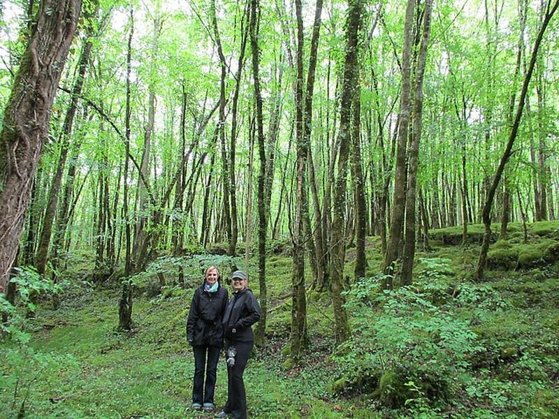 Beautiful hike..looks like Ireland