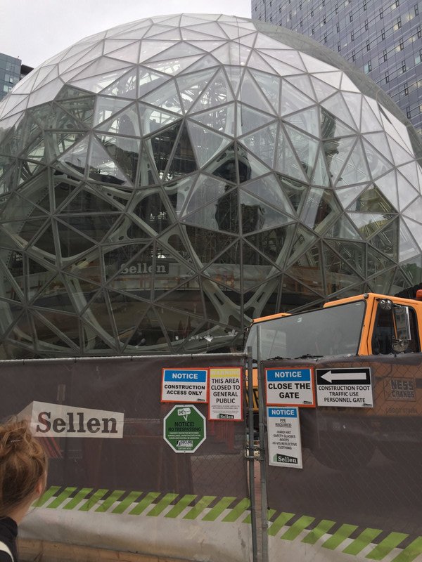 Amazon dome