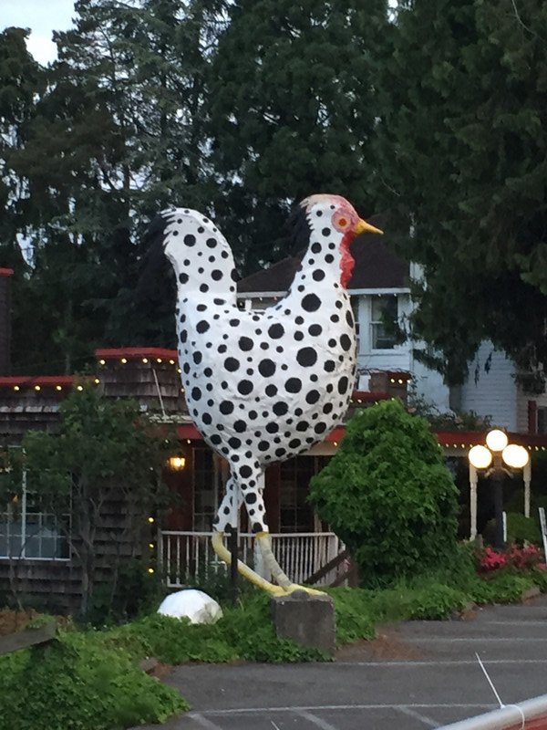 Giant chicken 