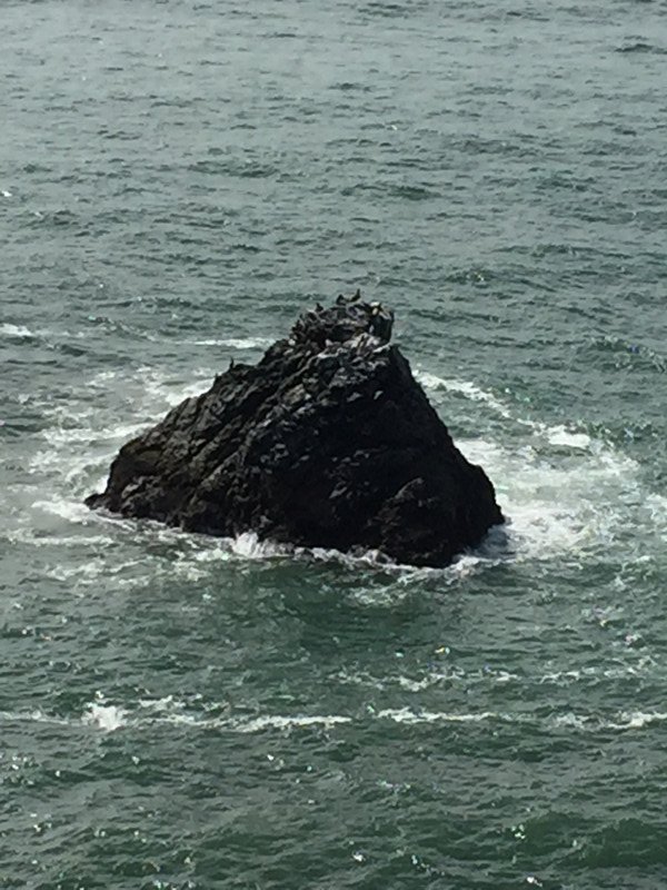 Rock in the ocean