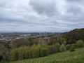 Calton Hill View