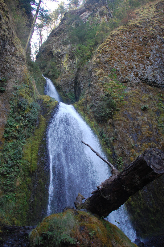 Wahkeena Falls