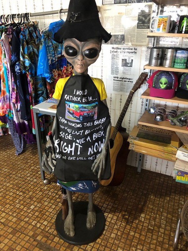 Cousin of the Alien in Area 51
