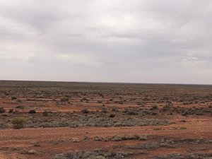 Nothingness as far as the eye can see_ Where do those Roo's hide in the day time