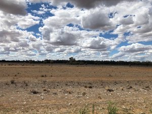 NSW outback country