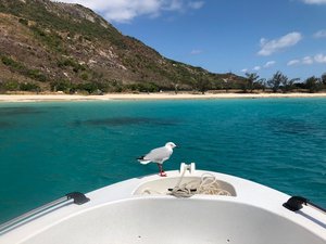 On our way to Clam Beach on Lizard Island
