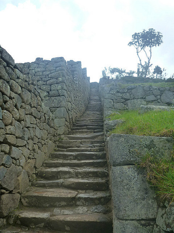 Staircase at Machu Picchu
