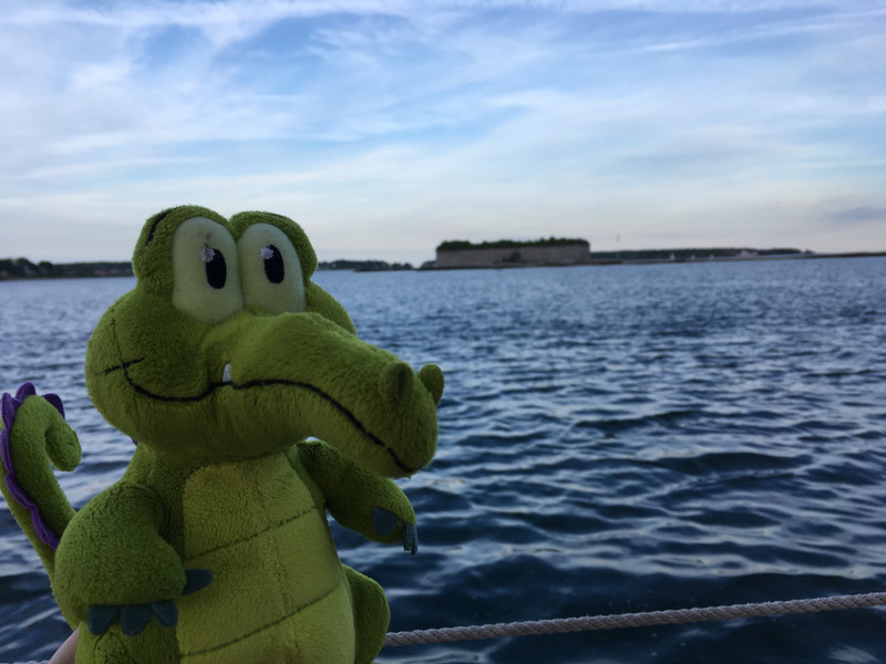 Swampy and the Fort