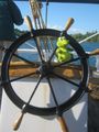 Swampy at the helm!