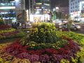 Korean Flower Market