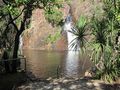 Wangi Falls Plunge Pool