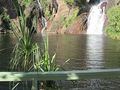 Wangi Falls Plunge Pool