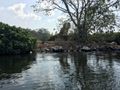 Nile Source Boat Ride