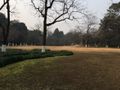 Xihu parkland