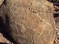 Petroglyph, painting of animal on stone in Trinidad Canyon