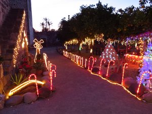 Christmas lights in Mission garden.